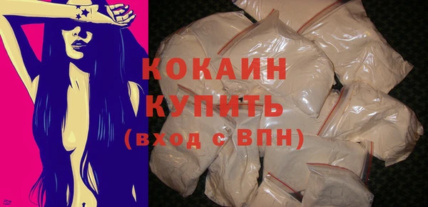 шишки Новокубанск