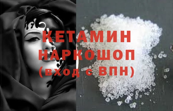 гидра Новодвинск