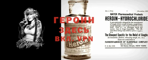 гидра Новодвинск