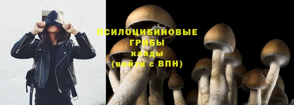 шишки Новокубанск