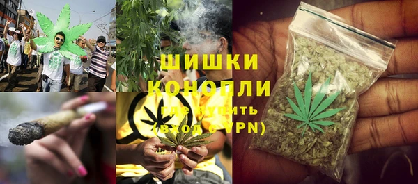 винт Няндома
