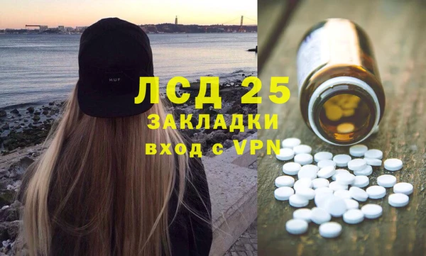шишки Новокубанск