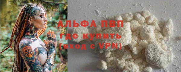 молекула духа Пионерский