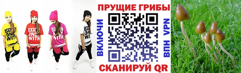 наркота  МЕГА вход  Галлюциногенные грибы GOLDEN TEACHER  Мытищи 