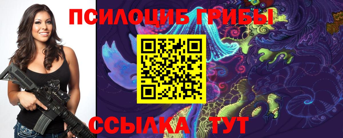 Галлюциногенные грибы MAGIC MUSHROOMS  Вход с VPN  Мытищи 