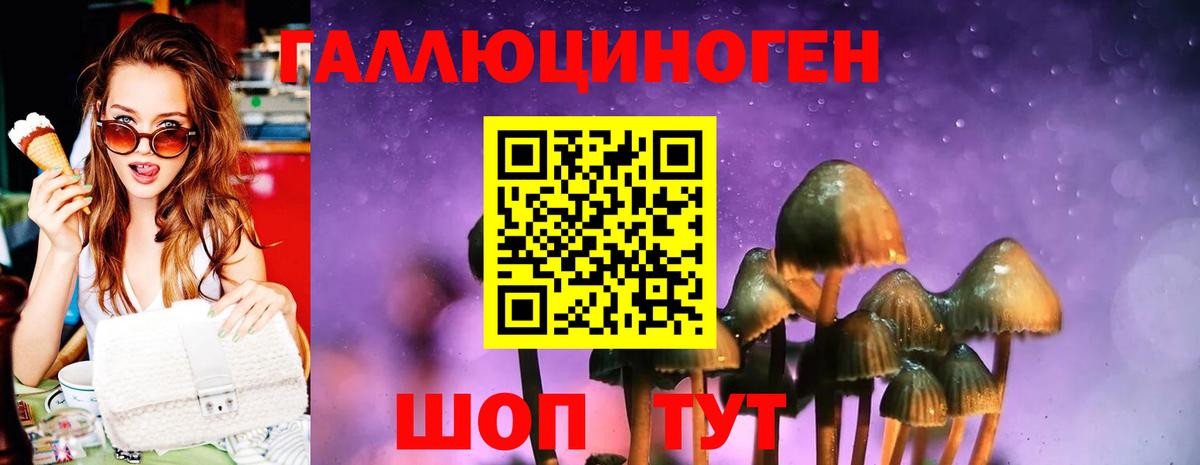 Псилоцибиновые грибы MAGIC MUSHROOMS  Мытищи 